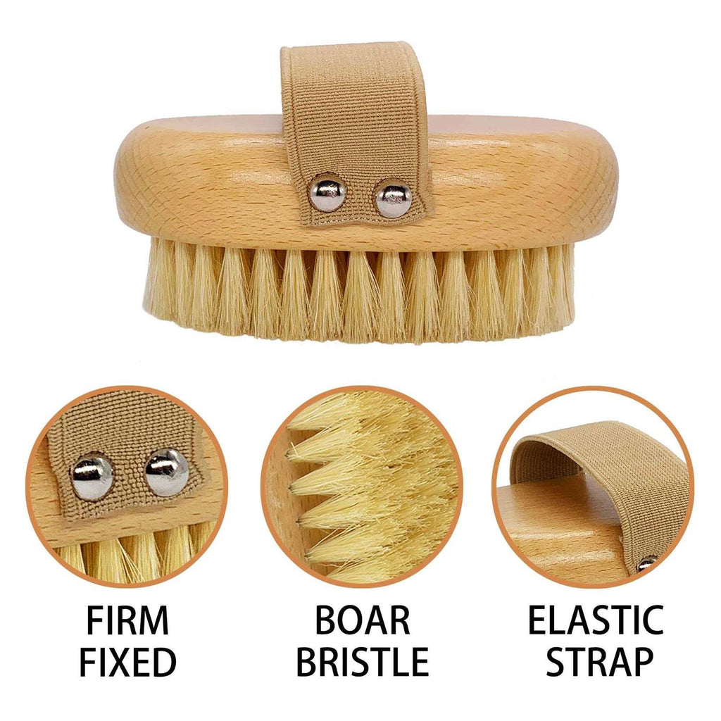 Soft Bristle Dog Brush for Short Haired Cats Dogs with Elastic Band Q699013