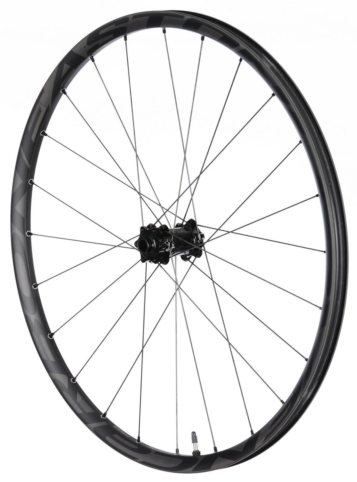 Carbon 29er Front Wheel D280156