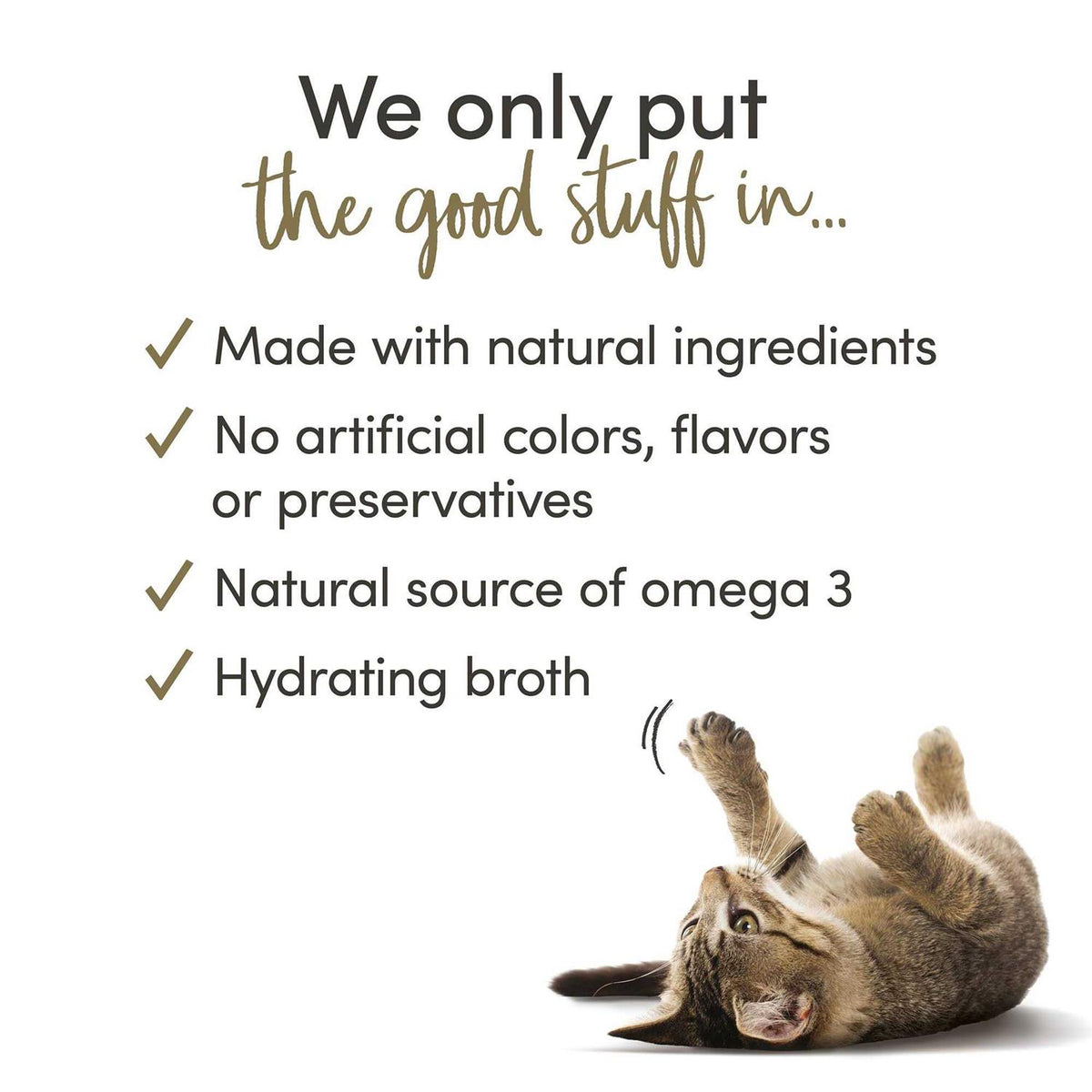 Cat Wet Food in Broth Variety Pack Q6010