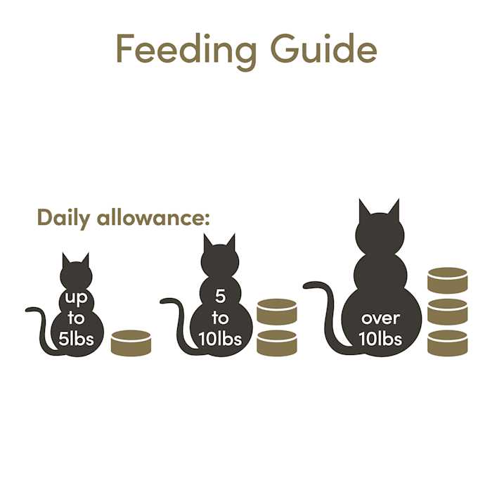 Cat Wet Food in Broth Variety Pack Q6010