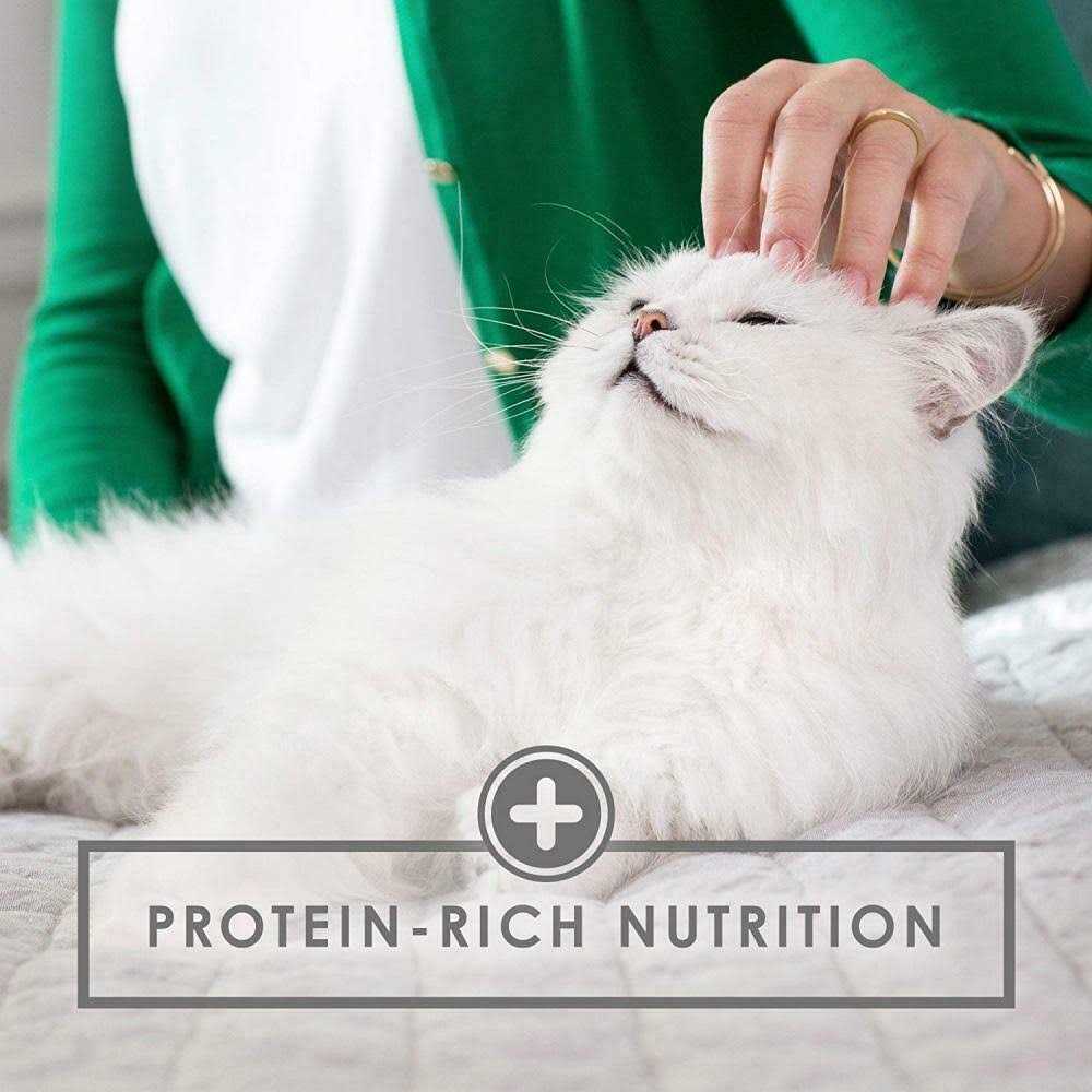 Pet Supplies C5252