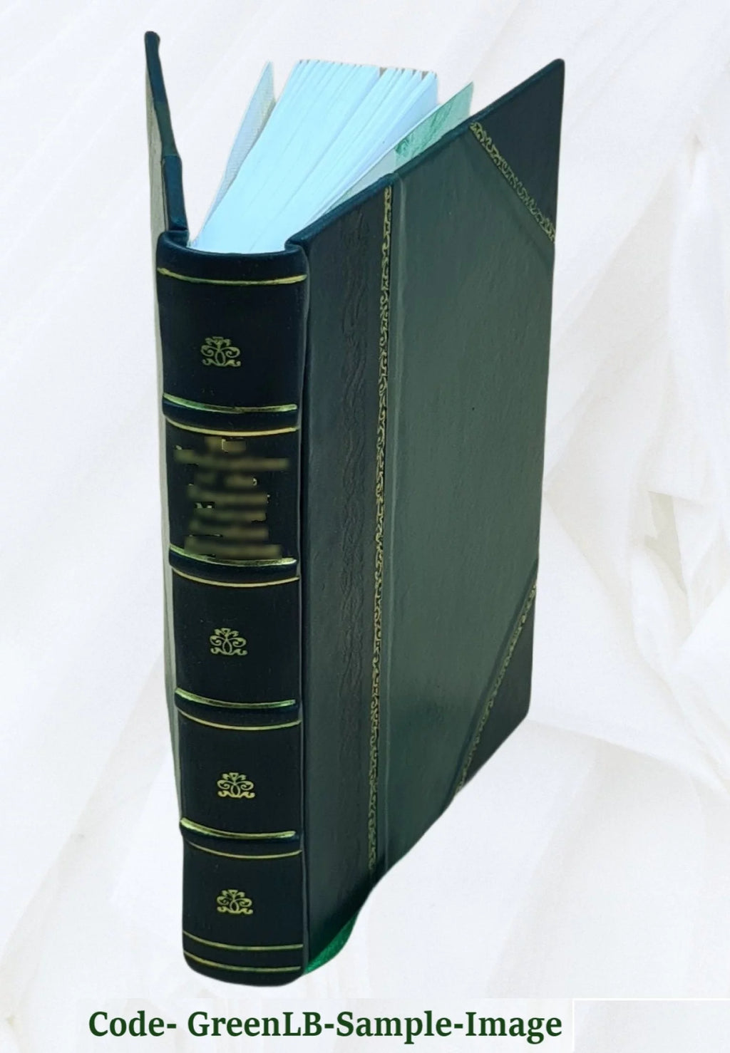 Leather Bound Y191370
